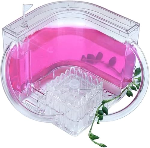 Ameisenfarmen für lebende Ameisen, kreative Ameisenfarm, durchscheinendes Gel, Ameisenschloss mit Verbindungsrohr, Ameisennester Beobachtungsset, Bauernzucht-Kit (Farbe: Ameisenfarmen für lebende Ameisen, kreative Ameisenfarm, durchscheinendes Gel, Ameisenschloss mit Verbindungsrohr, Ameisennester Beobachtungsset, Bauernzucht-Kit (Farbe: von WEKIVA