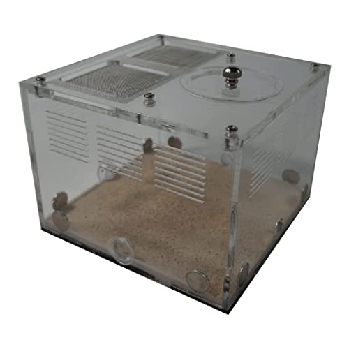 Ameisenfarmen für lebende Ameisen,Acryl Ameisenschloss DIY Nest Beton Ameisennest Bauernhaus Werkstatt Ameisenviarium Bildung Lernen Ameisenfarm Ameisen Ameisenfarmen für lebende Ameisen,Acryl Ameisenschloss DIY Nest Beton Ameisennest Bauernhaus Werkstatt Ameisenviarium Bildung Lernen Ameisenfarm Ameisen von WEKIVA