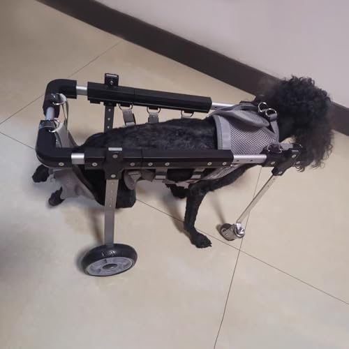 WEKONUMEX Verstellbarer Rollstuhl für Haustiere, 4-Rad-Hunderollstuhl, verstellbar, Aluminiumlegierung, Mobilitätshilfe, mehrere Größen XS-L(XS) von WEKONUMEX