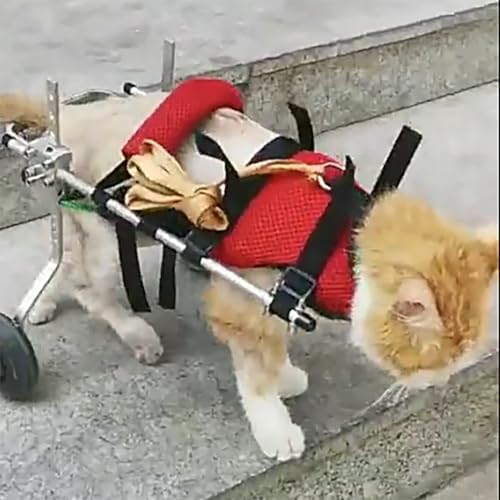 WEKONUMEX Verstellbarer Rollstuhl für Haustiere, Haustier-Rollstuhl, verstellbar, leichte Mobilitätshilfe aus Aluminiumlegierung for Hunde und Katzen mit Komfort-Gurt, mehrere Größen(S) von WEKONUMEX