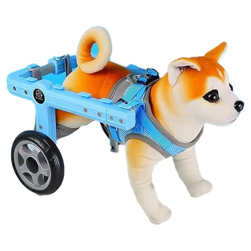 WEKONUMEX Verstellbarer Rollstuhl für Haustiere, Hundekatzen-Mobilitätsrollstuhl, 2-Rad-Aluminiumlegierung, verstellbare Tier-Gehhilfe, mehrere Größen(M) von WEKONUMEX