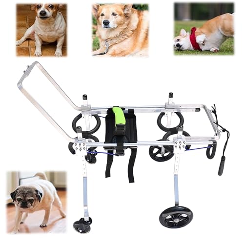 WEKONUMEX Verstellbarer Rollstuhl für Haustiere, Hunderollstuhl, Mobilitätshilfe, verstellbar, Aluminiumlegierung, for Hunde, kleine Tiere, mehrere Größen(XS) von WEKONUMEX