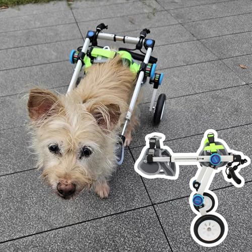 WEKONUMEX Verstellbarer Rollstuhl für Haustiere, Hunderollstuhl, faltbar, verstellbar, Aluminiumlegierung, Mobilitätshilfe for Haustiere, mehrere Größen, for Hunde, Katzen, Haustiere(S) von WEKONUMEX
