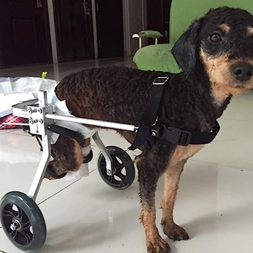 WEKONUMEX Verstellbarer Rollstuhl für Haustiere, Hunderollstuhl, verstellbar, 2 Räder, Haustier-Reha-Wagen for kleine/mittelgroße Hunde, Katzen, Welpen, Aluminiumlegierung, mehrere Größen(M Size) WEKONUMEX Verstellbarer Rollstuhl für Haustiere, Hunderollstuhl, verstellbar, 2 Räder, Haustier-Reha-Wagen for kleine/mittelgroße Hunde, Katzen, Welpen, Aluminiumlegierung, mehrere Größen(M Size) von WEKONUMEX