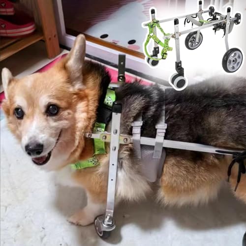 WEKONUMEX Verstellbarer Rollstuhl für Haustiere, Hunderollstuhl, verstellbar, Aluminium, 4 Räder, Mobilitätshilfe for kleine, mittelgroße und große Hunde, Katzen, mehrere Größen(S) von WEKONUMEX