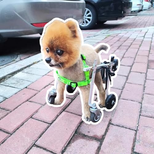 WEKONUMEX Verstellbarer Rollstuhl für Haustiere, Hunderollstuhl, verstellbar, Aluminium, 4 Räder, Mobilitätshilfe for kleine, mittelgroße und große Hunde, Katzen, mehrere Größen(XS) von WEKONUMEX