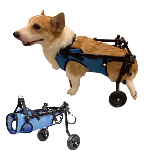 WEKONUMEX Verstellbarer Rollstuhl für Haustiere, Verstellbarer 2-Rad-Rollstuhl for Hunde und Katzen, Größen XS/S/M, Mobilitätshilfe aus Aluminiumlegierung(S) von WEKONUMEX