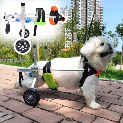 WEKONUMEX Verstellbarer Rollstuhl für Haustiere, Verstellbarer Aluminium-Haustier-Rollstuhl, Mobilitätshilfe, Mehrfarbig, mehrere Größen(Multi-Colored,Size XXS) von WEKONUMEX