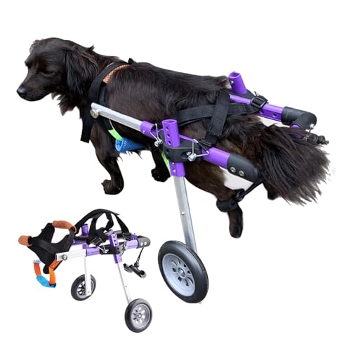 WEKONUMEX Verstellbarer Rollstuhl für Haustiere, Verstellbarer Hunderollstuhl aus Aluminium for die Hinterbeine, mehrere Größen, kleine, mittelgroße und große Hunde, Katzen(Size S) von WEKONUMEX