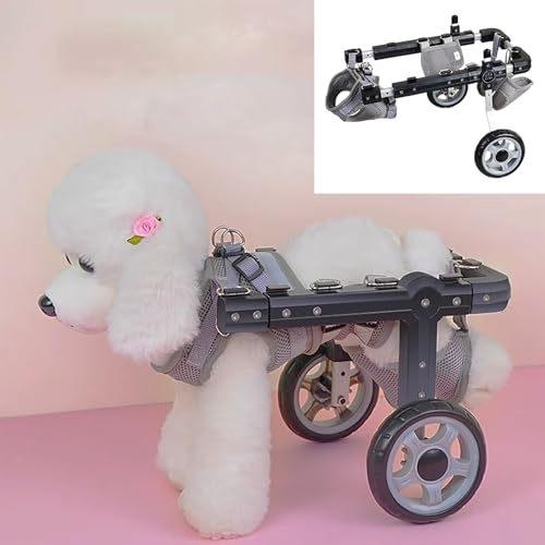 WEKONUMEX Verstellbarer Rollstuhl für Haustiere, Verstellbarer Hunderollstuhl aus Aluminiumlegierung mit 2 Rädern, Mobilitätshilfe for Hunde und Katzen, 1,5–12,5 kg, mehrere Größen(S) von WEKONUMEX