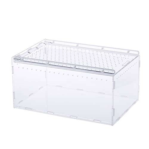 Transparente Futterbox mit Deckel für Geckos Supplies Transparente Futterbox Behälter Tanks von WELLDOER
