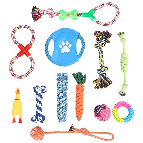 WELLGRO 12-TLG. Hundespielzeug Set - Kauspielzeug - Material Baumwolle/Kunststoff - interaktives Spielset - Zerr- und Beutespiel von WELLGRO
