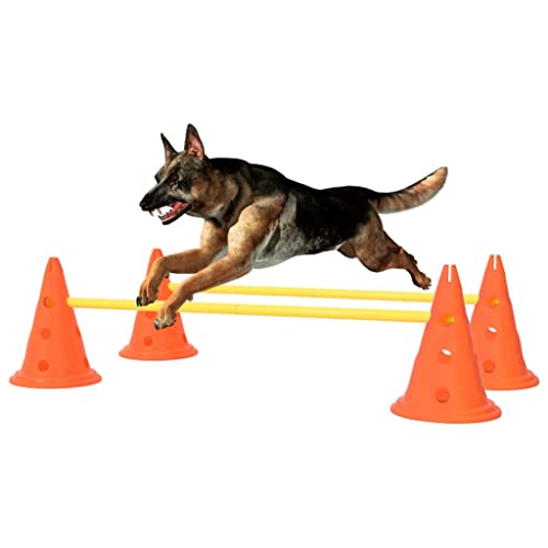 WELLIKEA Aktivitäts-Hindernis-Set für Hunde Orange und Gelb von WELLIKEA