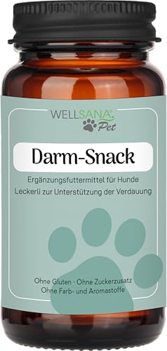 Darm-Snack von WELLSANA
