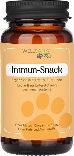 Immun-Snack von WELLSANA