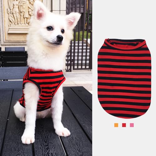 WELTENT Hunde-Shirt, gestreift, dehnbare Westen, weiche Baumwolle für kleine, mittelgroße und große Hunde, Jungen, Mädchen, Welpen, leicht, für Katzen, Hunde, Sommer-T-Shirt, cooles Tanktop, ärmellos, WELTENT Hunde-Shirt, gestreift, dehnbare Westen, weiche Baumwolle für kleine, mittelgroße und große Hunde, Jungen, Mädchen, Welpen, leicht, für Katzen, Hunde, Sommer-T-Shirt, cooles Tanktop, ärmellos, von WELTENT