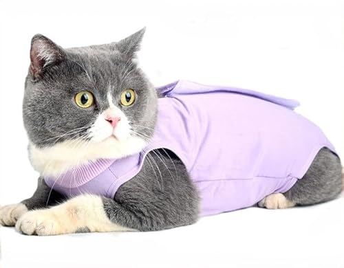 WELTENT Katzenpullover für Katzen, haarlose Katzen-T-Shirts aus Baumwolle, Haustierkleidung, Pullover, Kätzchen-T-Shirts mit Ärmeln, Katzen- und kleine Hunde, Lila, Größe L WELTENT Katzenpullover für Katzen, haarlose Katzen-T-Shirts aus Baumwolle, Haustierkleidung, Pullover, Kätzchen-T-Shirts mit Ärmeln, Katzen- und kleine Hunde, Lila, Größe L von WELTENT