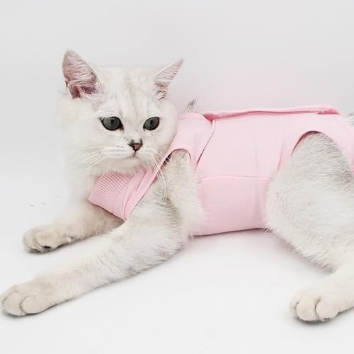 WELTENT Katzenpullover für Katzen, haarlose Katzen-T-Shirts aus Baumwolle, Haustierkleidung, Pullover, Kätzchen-T-Shirts mit Ärmeln, Katzen- und kleine Hunde, Rosa, Größe S WELTENT Katzenpullover für Katzen, haarlose Katzen-T-Shirts aus Baumwolle, Haustierkleidung, Pullover, Kätzchen-T-Shirts mit Ärmeln, Katzen- und kleine Hunde, Rosa, Größe S von WELTENT