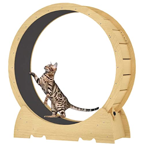 Katzenlaufrad für Indoor-Katzen Katzenlaufband mit Feststellmechanismus Katzenlaufrad zur Gewichtsabnahme und täglichen Bewegung von Haustieren von WENCY