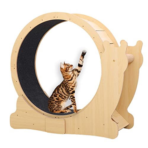 Katzenlaufrad für Indoor-Katzen mit Schloss,Katzenlaufband zum Abnehmen,Einfach Montiertes Katzen-Laufbandrad,leises Laufen für die Gesundheit der Katze von WENCY