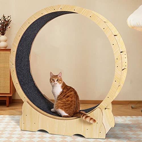 Katzenlaufrad für Indoor-Katzen mit Schloss - Laufband für Haustiere - das Spiel- & Traininggerät für Katzen von WENCY