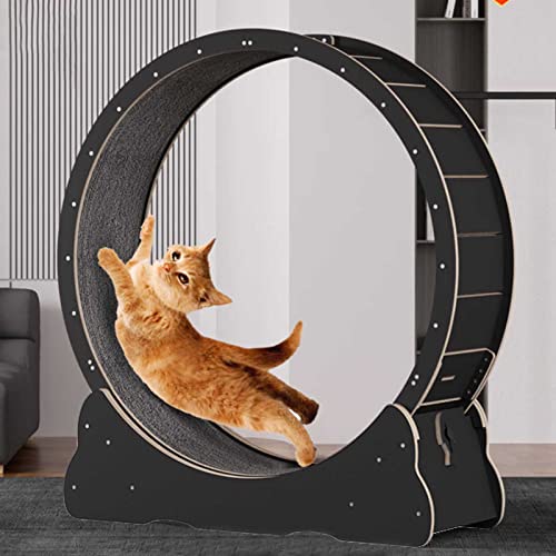 Katzenlaufrad für Katzen Katzen Laufband Natürliches Massivholz-Katzenlaufrad mit Schlössern & Abnehmbare Teppich-Laufbahn & Winziger Spalt von WENCY