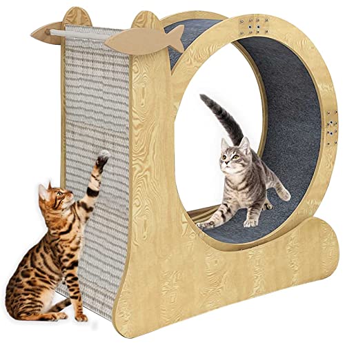 Katzenlaufrad mit Schloss - Kratzbrett für Katzen - Spiel- & Trainingsgerät für Katzen von WENCY