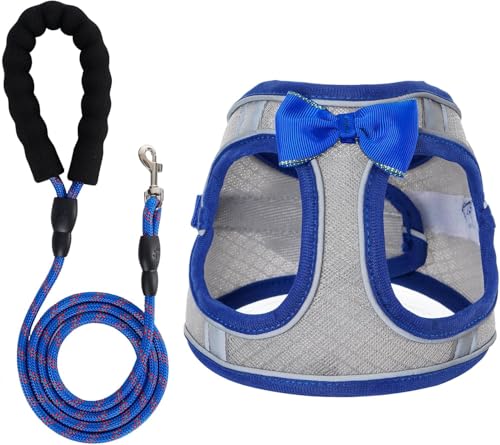 Hundegeschirr mit Leine, atmungsaktiv, für Welpen, Katzen, Hunde, kein Ziehen, verstellbar, reflektierend, mit weich gepolsterter Weste für extra kleine/kleine, mittelgroße und große Hunde und Katzen Hundegeschirr mit Leine, atmungsaktiv, für Welpen, Katzen, Hunde, kein Ziehen, verstellbar, reflektierend, mit weich gepolsterter Weste für extra kleine/kleine, mittelgroße und große Hunde und Katzen von WENDISI