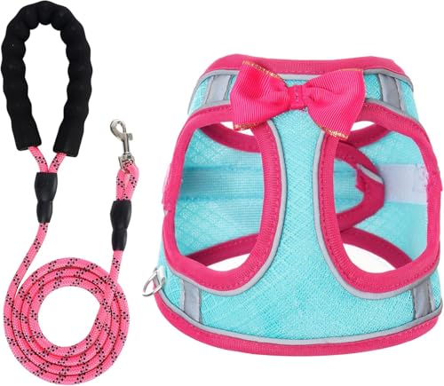 Hundegeschirr mit Leine, atmungsaktiv, für Welpen, Katzen, Hunde, kein Ziehen, verstellbar, reflektierend, mit weich gepolsterter Weste für extra kleine/kleine, mittelgroße und große Hunde und Katzen Hundegeschirr mit Leine, atmungsaktiv, für Welpen, Katzen, Hunde, kein Ziehen, verstellbar, reflektierend, mit weich gepolsterter Weste für extra kleine/kleine, mittelgroße und große Hunde und Katzen von WENDISI