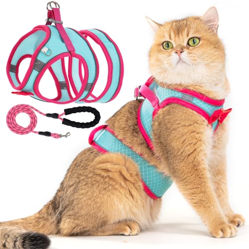 Katzengeschirr und Leine, Set für Spaziergänge im Freien, ausbruchsicher, verstellbar, mit weichem, atmungsaktivem Netzgewebe, leichtes Katzengeschirr für kleine Hunde, Welpen, Kaninchen und Katzengeschirr und Leine, Set für Spaziergänge im Freien, ausbruchsicher, verstellbar, mit weichem, atmungsaktivem Netzgewebe, leichtes Katzengeschirr für kleine Hunde, Welpen, Kaninchen und von WENDISI