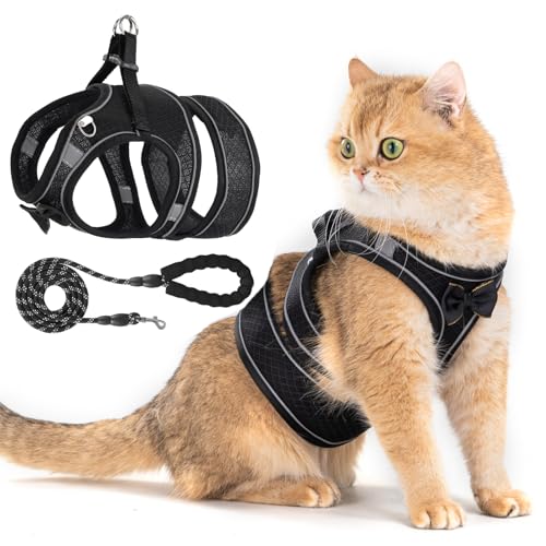 Katzengeschirr und Leine, Set für Spaziergänge im Freien, ausbruchsicher, verstellbar, mit weichem, atmungsaktivem Netzgewebe, leichtes Katzengeschirr für kleine Hunde, Welpen, Kaninchen und Katzengeschirr und Leine, Set für Spaziergänge im Freien, ausbruchsicher, verstellbar, mit weichem, atmungsaktivem Netzgewebe, leichtes Katzengeschirr für kleine Hunde, Welpen, Kaninchen und von WENDISI