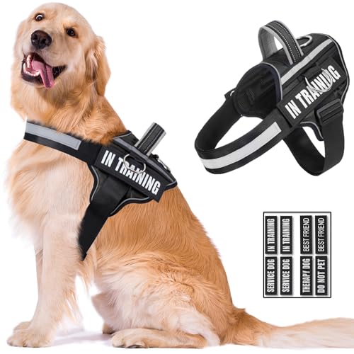 Reflektierendes Hundegeschirr, rutschfest, kein Ziehen, Hundegeschirr mit 8 Hundeflicken, verstellbar, für alle Rassen, 3 Ringe, kein Würgen, Oxford-Weste für kleine, mittelgroße und große Hunde Reflektierendes Hundegeschirr, rutschfest, kein Ziehen, Hundegeschirr mit 8 Hundeflicken, verstellbar, für alle Rassen, 3 Ringe, kein Würgen, Oxford-Weste für kleine, mittelgroße und große Hunde von WENDISI