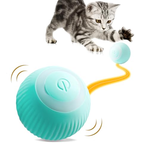 WENJION Interaktives Katzenspielzeug Ball Elektronisch Blau 360° Selbstbeschäftigung Mit Bewegung Für Katzen Mit LED Für Wohnzimmer Und Haustierbereich WENJION Interaktives Katzenspielzeug Ball Elektronisch Blau 360° Selbstbeschäftigung Mit Bewegung Für Katzen Mit LED Für Wohnzimmer Und Haustierbereich von WENJION