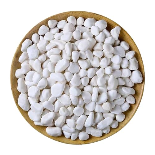 Aquarium Steine 150/200/500 g Kleiner weißer Stein for Aquarien, Kopfsteinpflaster, dekorativer Mineralstein, Aquarium-Gartenkiesel, Dekorationszubehör(150g) von WENYOG