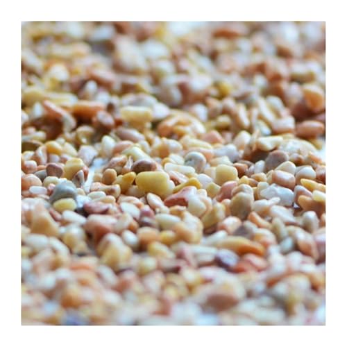 WENYOG Aquarium Steine 100 g Mikro-Landschafts-Aquarium, Hydrokultur-Pflanzendekoration, Landschaftsbau, Glasperlen, Glas, Sand, Flusssand, gelber Stein(Color-19) von WENYOG
