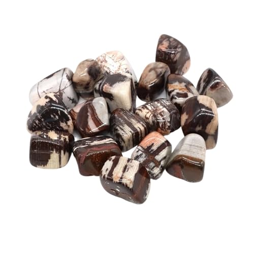 WENYOG Aquarium Steine Unregelmäßige Trommelsteinlandschaft Jaspis Reiki Heilkristall Energie Quarz Mineralprobe Aquarium Hausgarten Dekor(Color24,500g) von WENYOG