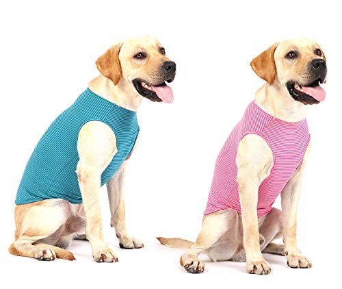 WEONE Sommer-T-Shirts für Hunde, gestreift, Baumwolle, atmungsaktiv, weich, Basic-Kleidung für kleine, mittelgroße und große Hunde, Größe XL von WEONE