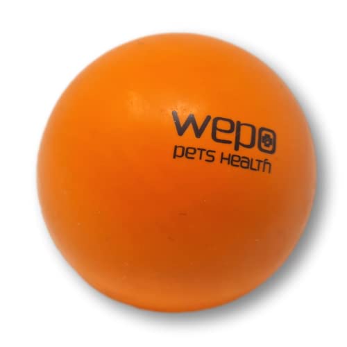 WEPO Ball für Hunde Ø 6cm Orange - Hunde Spielsachen - Wurfball Hund - Kauspielzeug Hund - interaktives Hundespielzeug aus Vollgummi - springt & fliegt gut von WEPO