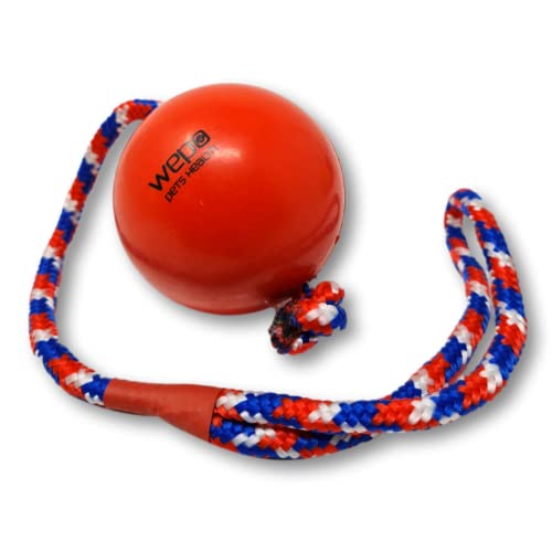 WEPO Hundespielzeug Ball mit Seil Rot Ø 8cm - Wurfspielzeug für Hunde - Dog Toys - Ziehspielzeug Hund - Gummiball Hund zum Trainieren & Apportieren - Für große, mittelgroße Hunde WEPO Hundespielzeug Ball mit Seil Rot Ø 8cm - Wurfspielzeug für Hunde - Dog Toys - Ziehspielzeug Hund - Gummiball Hund zum Trainieren & Apportieren - Für große, mittelgroße Hunde von WEPO