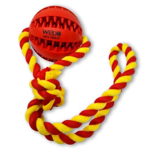 WEPO Kauspielzeug Hund Rot Ø7cm - Ball am Seil - Wurfball für Hunde - Dog Toys - Interaktives Hundespielzeug mit Zahnpflegefunktion - Als Zieh-, Wurf- & Kauspielzeug - Strick Gelb/Rot WEPO Kauspielzeug Hund Rot Ø7cm - Ball am Seil - Wurfball für Hunde - Dog Toys - Interaktives Hundespielzeug mit Zahnpflegefunktion - Als Zieh-, Wurf- & Kauspielzeug - Strick Gelb/Rot von WEPO