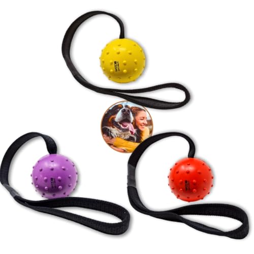 WEPO Wurfball für Hunde 3er Set - Dog Toys - Hundespielzeug Ball am Seil - Dog Toys for small Dogs - Hund Zubehör für draußen und drinnen - Mit Gumminoppen für Zahnpflege WEPO Wurfball für Hunde 3er Set - Dog Toys - Hundespielzeug Ball am Seil - Dog Toys for small Dogs - Hund Zubehör für draußen und drinnen - Mit Gumminoppen für Zahnpflege von WEPO