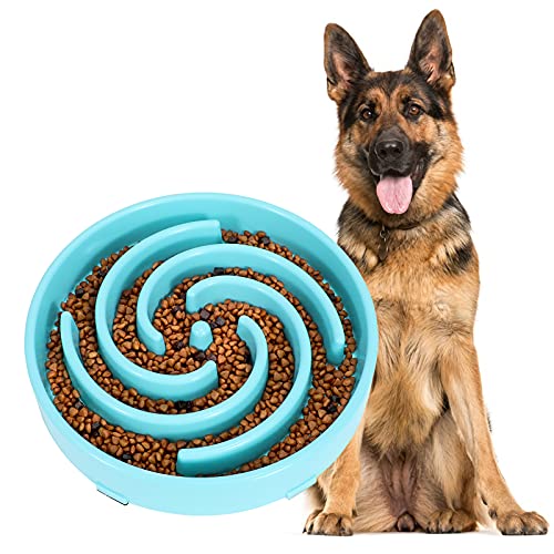 Langsame Fütterung Hundenapf, Anti Schling Interaktiver Hundenapf, Sicherheit Haltbarer Futternapf für Hunde Himmelblau von WERFORU