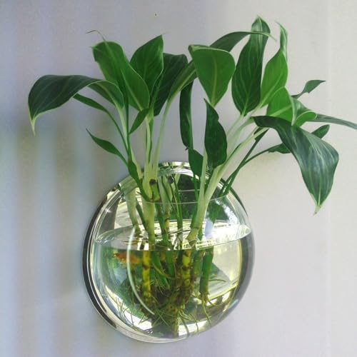 Wandvase, Wandmontage, Acryl, Blumenpflanze, Aquarium, 15 cm, 19,6 cm, 25,9 cm Wandvase, Wandmontage, Acryl, Blumenpflanze, Aquarium, 15 cm, 19,6 cm, 25,9 cm von WERQA