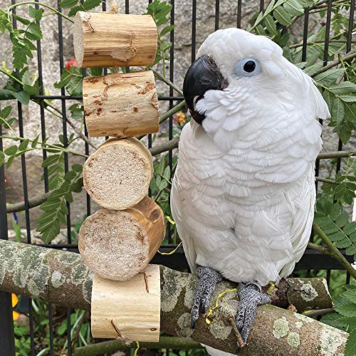 WESCO Pet Fiesta Vogelspielzeug für Papageien, Kabob, zerkleinerbar von WESCO