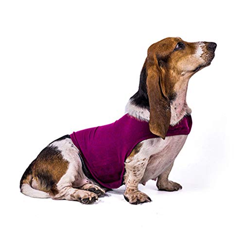 WESDOO Hundemantel Anti Stress Weste Für Hunde Medizinische Haustierhemden für Hunde Hund Stressabbau Dog Recovery Suits Medizinische Hundeweste Rose-red,xs von WESDOO