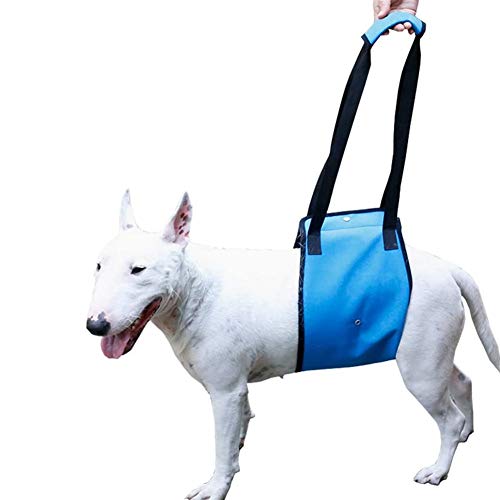 WESEEDOO Geschirr Hund Hundegeschirr Rehabilitationsgeschirr Pet Sling Carrier Hundelift Unterstützung Gehhilfe Für Haustiere Blue,XL von WESEEDOO