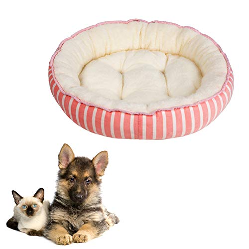 WESEEDOO Haustierbett für Hunde und Katzen, flauschiges Katzenbett aus Plüsch, für Hunde und Katzen, klein, oval, rose, M von WESEEDOO