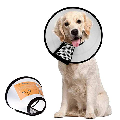 WESEEDOO Hund Katze Kragen Schutz Trichter Hund Recovery Collar Cone für Hautausschläge Einstellbare Haustiere Kegel Recovery Collar Cone für Wunden #1 von WESEEDOO
