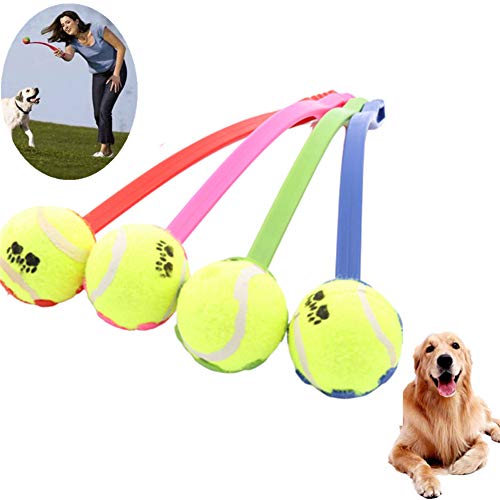WESEEDOO Hunde Kauspielzeug Haustier Ball Spielzeug Tennis Ball Hundespiel & Training Spielzeug Interaktiver Ball Launcher Hoher Sprung Haustier-Spielball von WESEEDOO