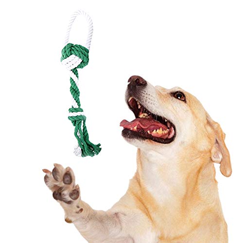 WESEEDOO Hunde Spielzeug für kleine Hunde hundespielzeug Intelligenz Kauen für Hund Hund kaut Lange anhaltende natürliche Interaktive Hund Spielzeug Green von WESEEDOO